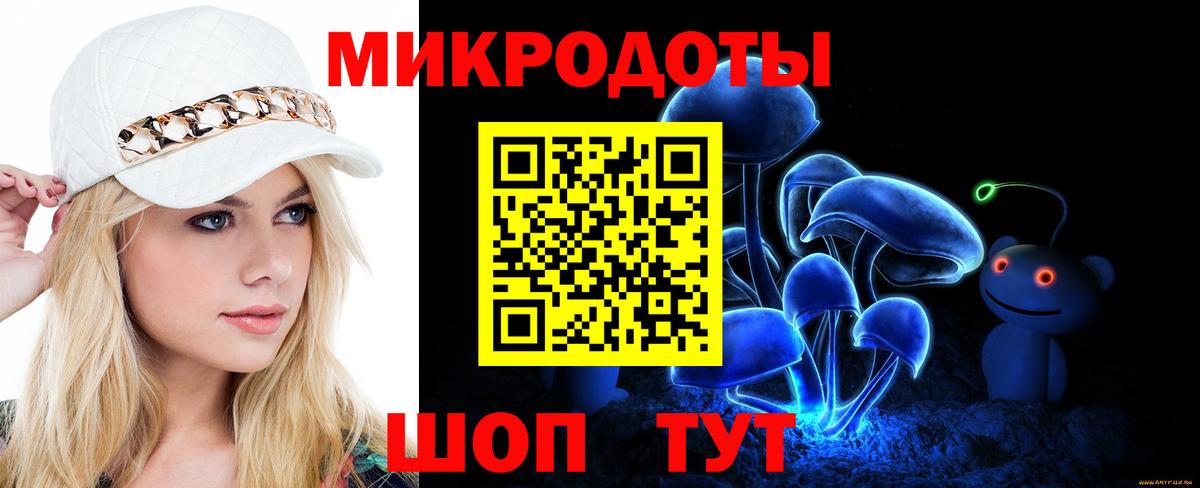 Галлюциногенные грибы Psilocybe Вичуга
